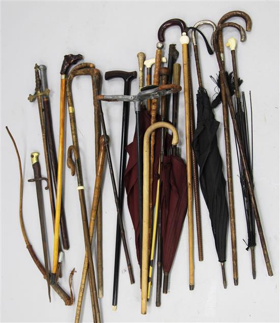 A collection of assorted walking sticks, canes, parasols and umbrellas,